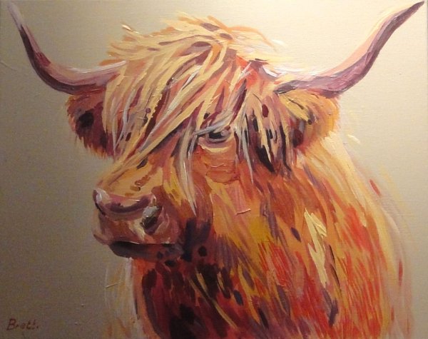 Хайлендский белый бык живопись