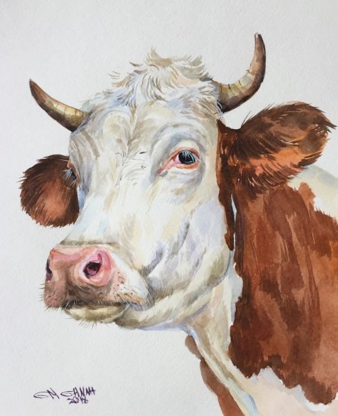 Корова акварелью