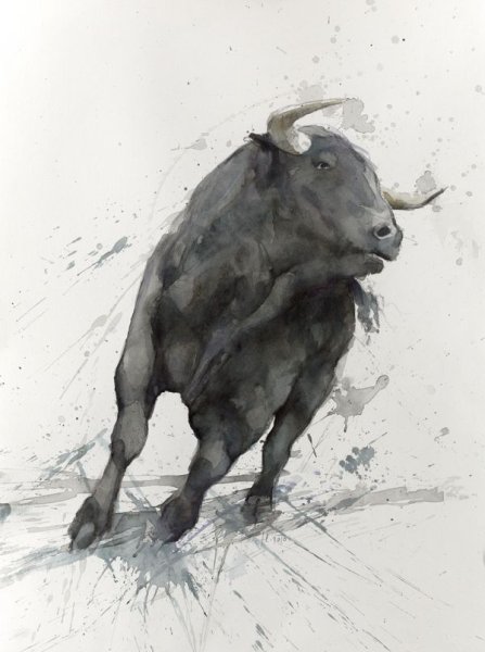 Бык акварель
