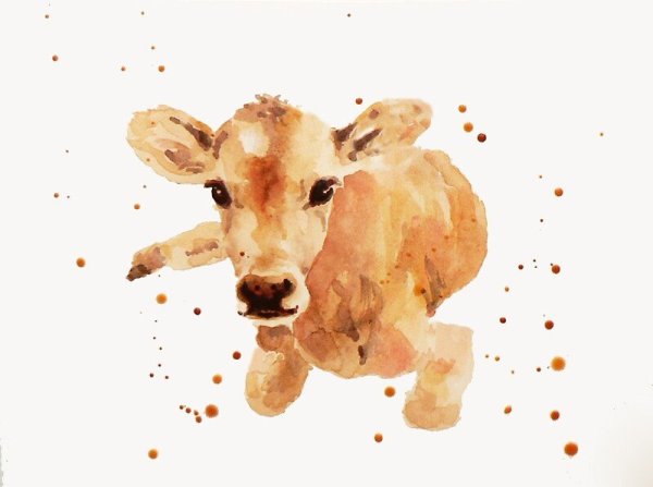 Бычок акварель
