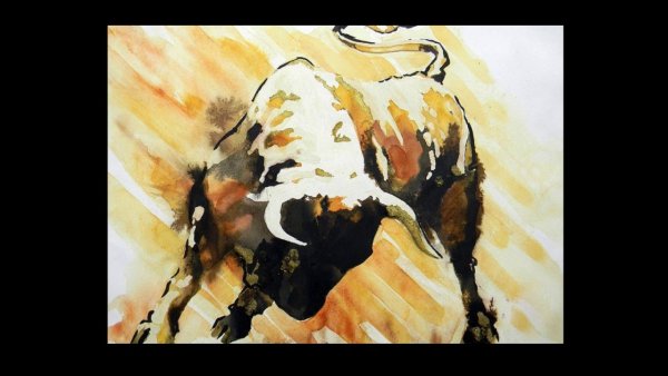 Бык акварель