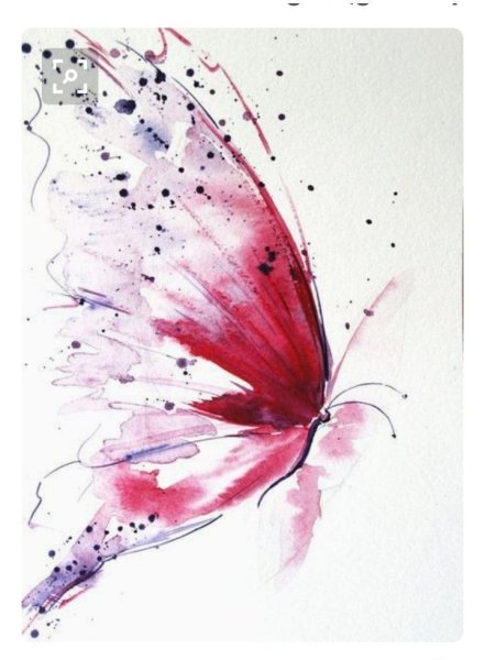 Акварельные бабочки