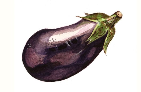 Баклажан рисунок для детей