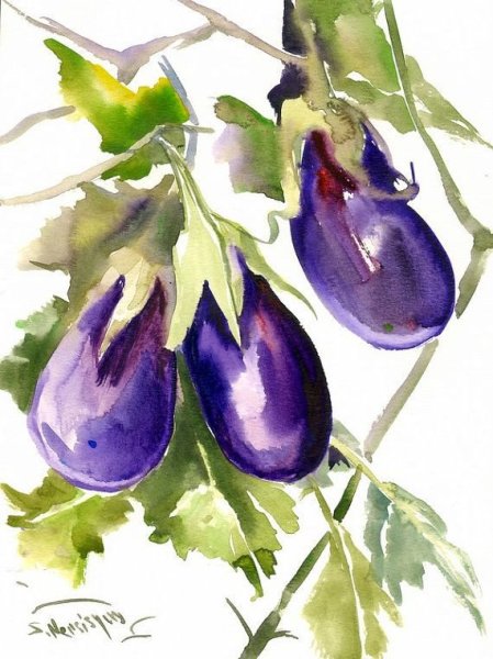 Баклажан акварелью Андрияки