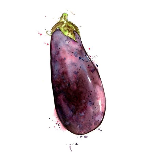 Баклажан акварелью