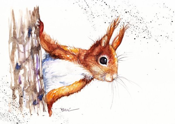 Животные акварельными карандашами