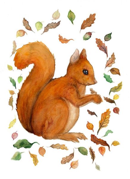 Бельчонок акварель