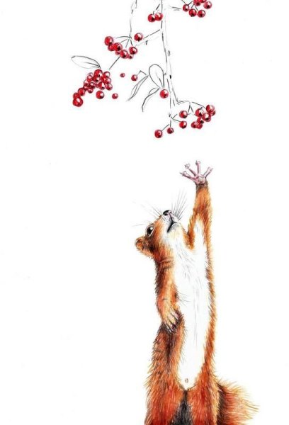 Белка акварелью