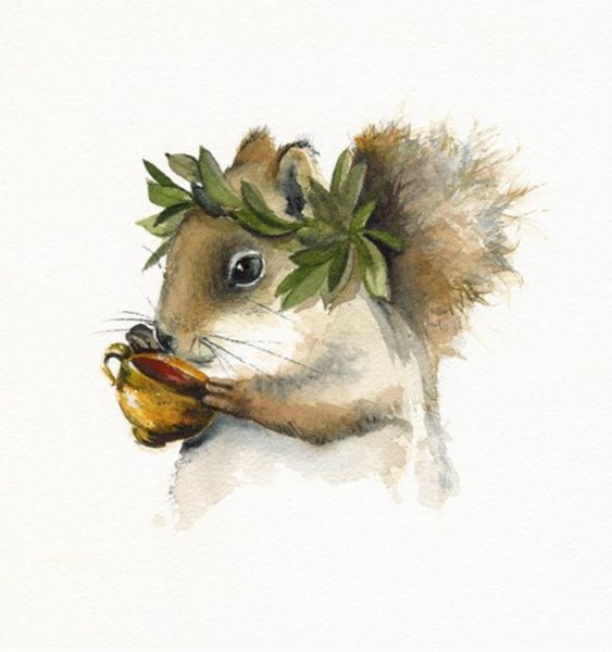 Белка акварелью