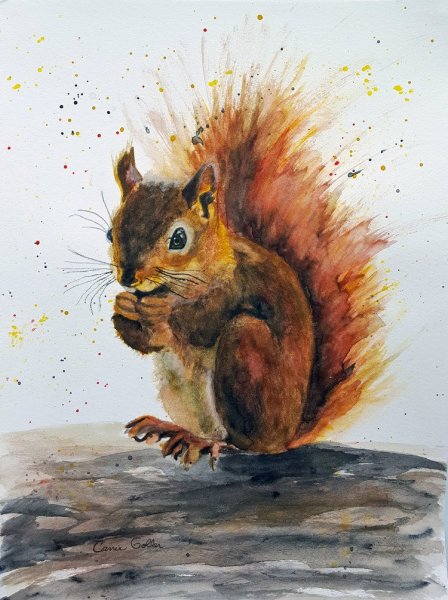 Булка акварель