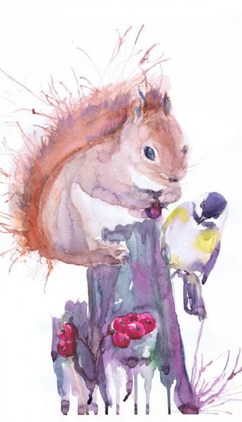 Белки акварель