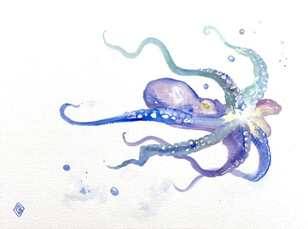 Кальмар акварель