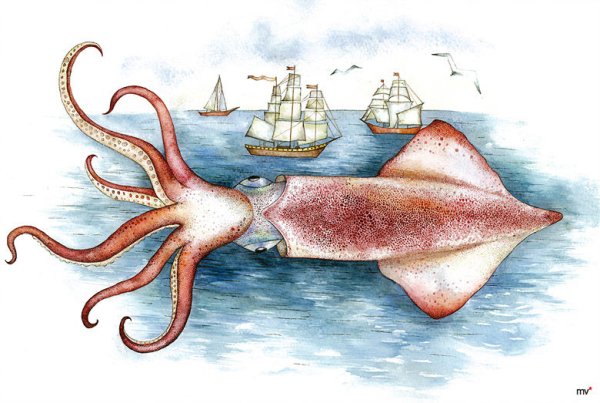 Веселый кальмар