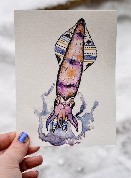 Кальмар акварель