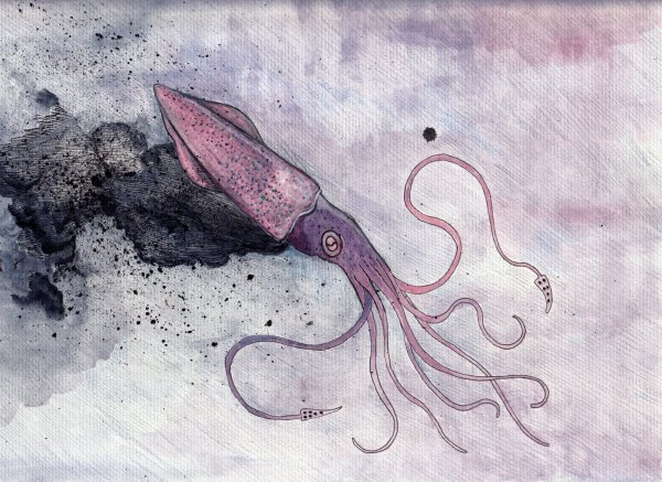Кальмар арт