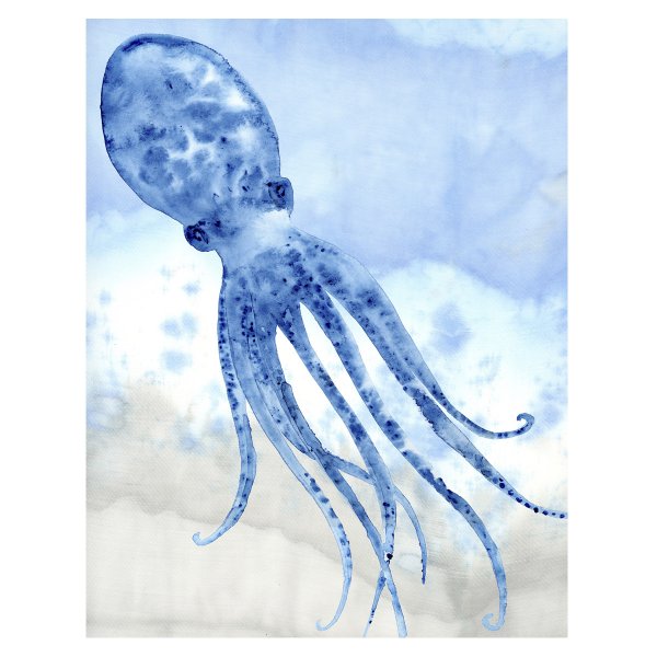 Акварельная иллюстрация осьминог