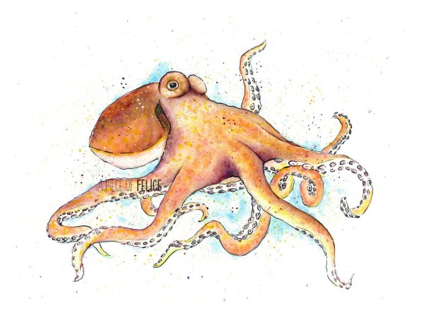 Осьминог акварель для детей