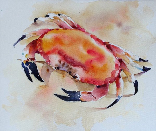 Морские животные акварелью