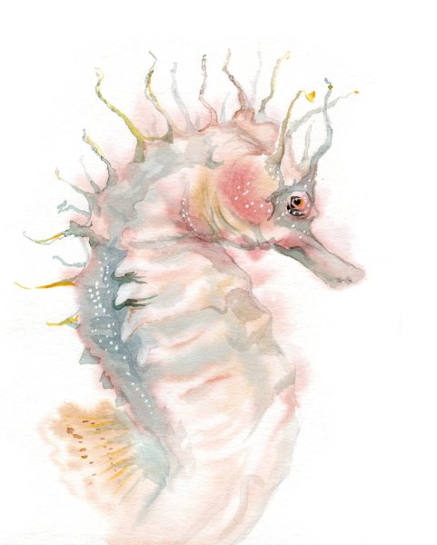 Морское существо акварель иллюстрация