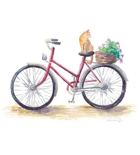 Велосипед с корзинкой акварель