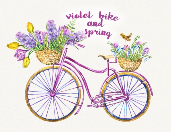 Велосипед с цветами акварель