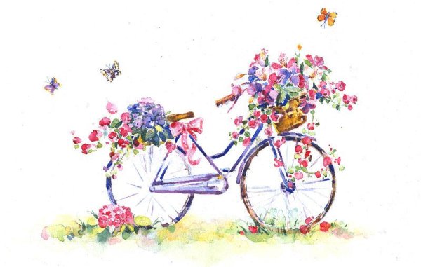 Акварельный велосипед с цветами