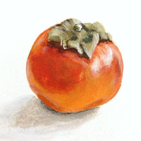 Хурма живопись акварель