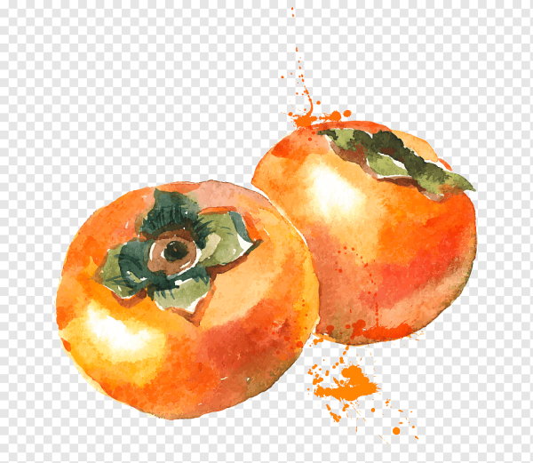 Фрукты акварелью