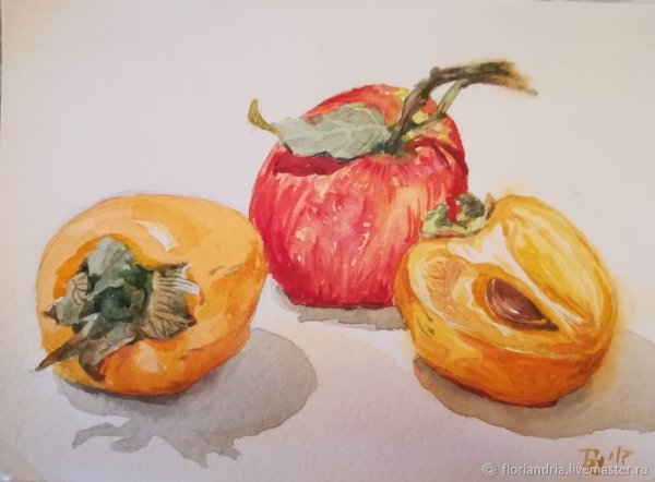 Хурма акварелью Этюд