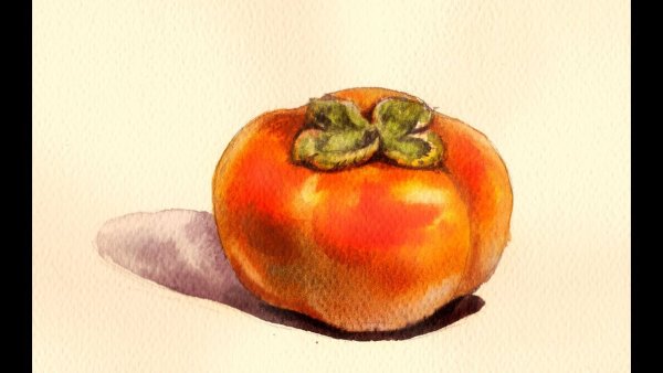 Хурма акварелью Этюд