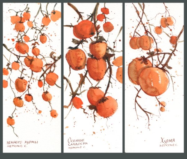 Хурма Графика