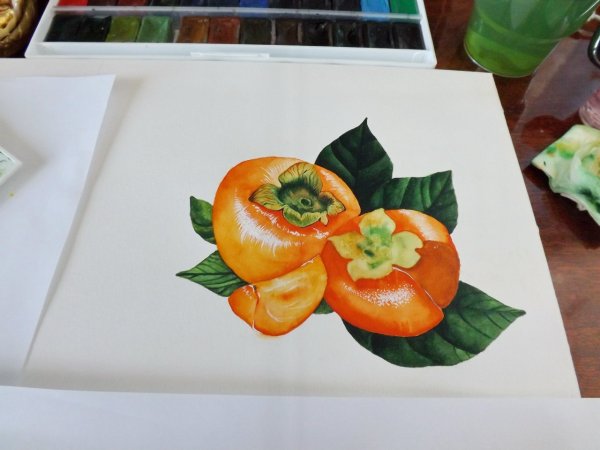 Хурма живопись акварель