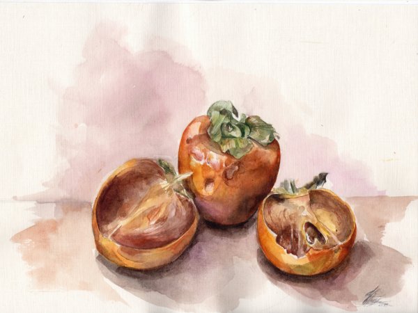 Акварель фрукты-хурма