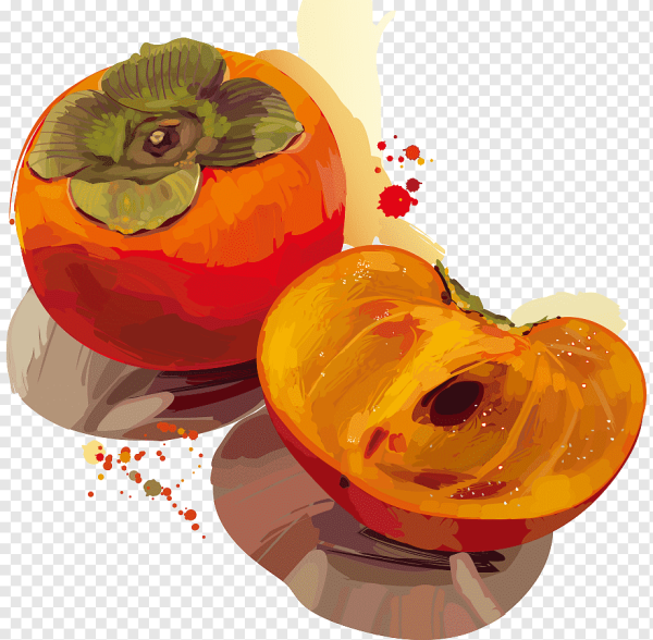 Светлана Лансе акварель