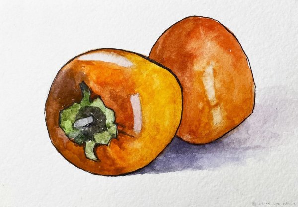 Хурма карандашом