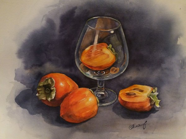 Хурма Ботаническая иллюстрация