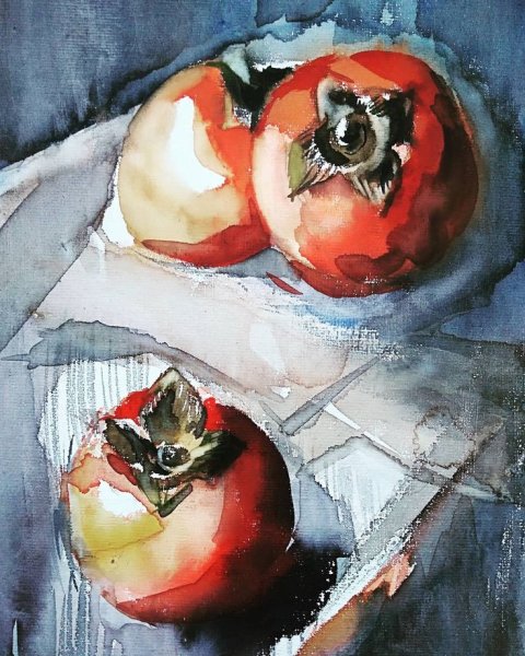 Хурма акварелью Этюд