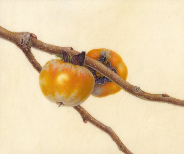 Марина правник