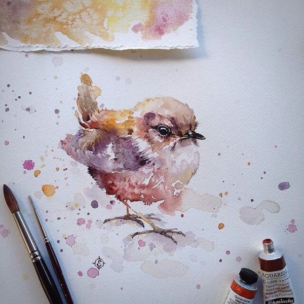 Акварели Салли Уолш