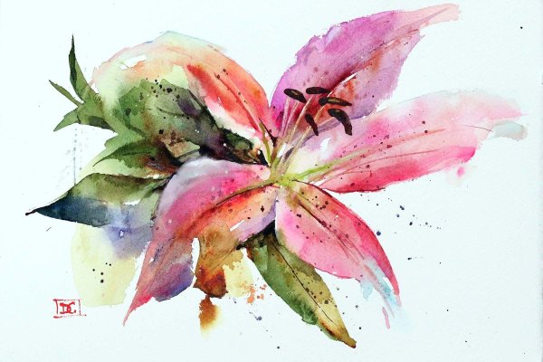 Акварель Aquarelle Acquarello Watercolour