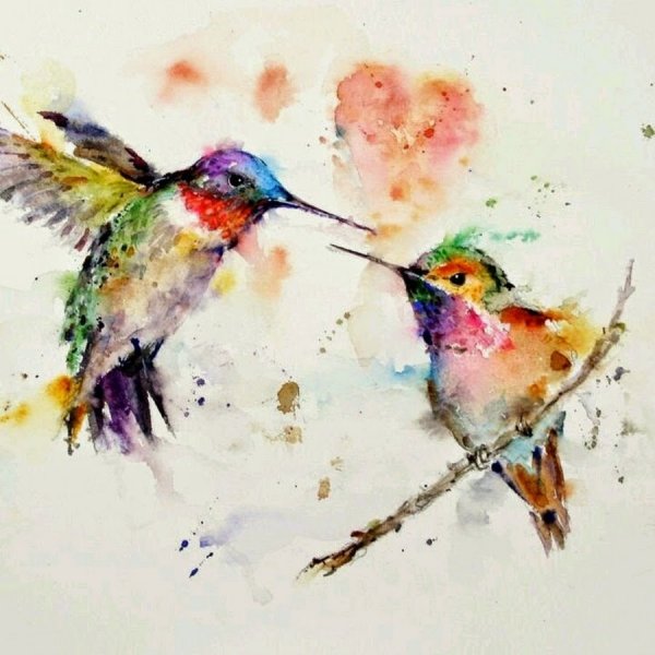 Колибри Импрессионизм