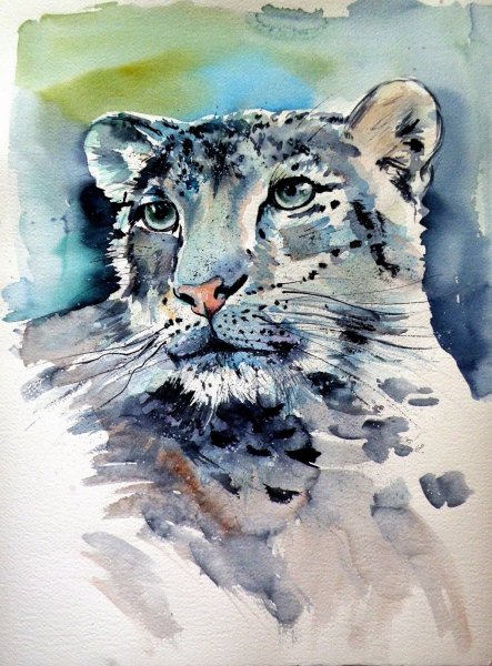 Снежный Барс акварель