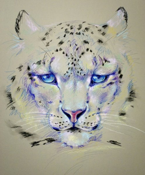 Ирбис акварель