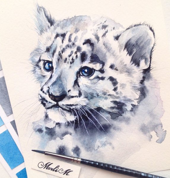 Снежный Барс акварель