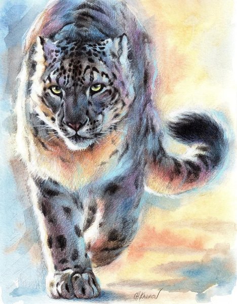 Снежный Барс гуашью