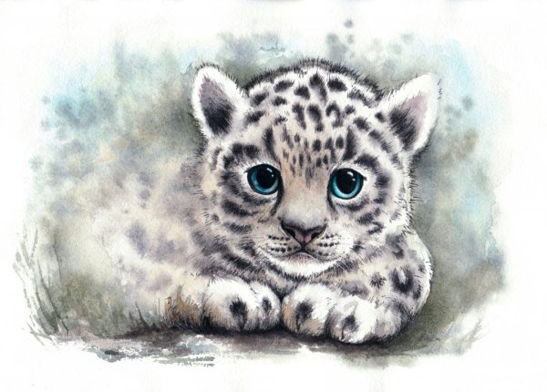Снежный Барс акварель