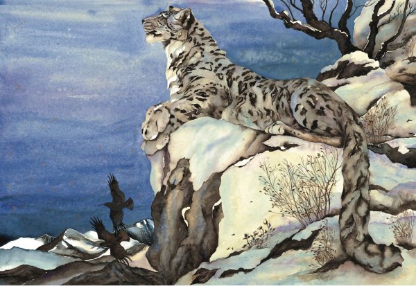 Снежный Барс рисунок