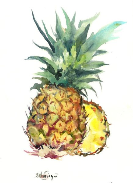 Тропические фрукты акварель