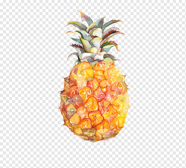 Ананас с фруктами акварель
