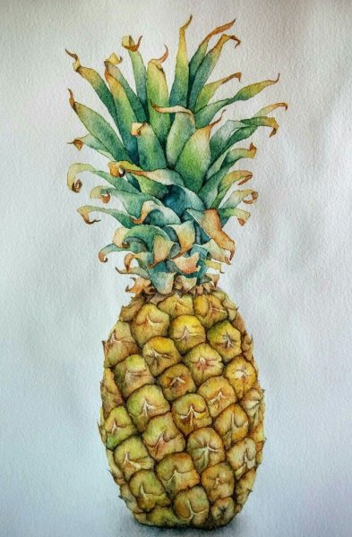 Необычный ананас живопись